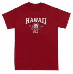 Vintage Dyed Tee - Collegiate: Wine