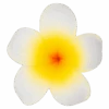 Single Plumeria Clip: White