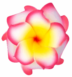 Small Double Plumeria Clip: Pink