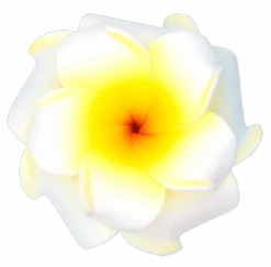 Small Double Plumeria Clip: White