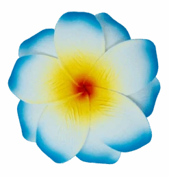 Medium Double Plumeria Clip: Blue