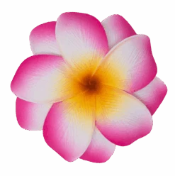 Medium Double Plumeria Clip: Pink