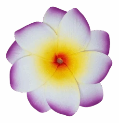 Medium Double Plumeria Clip: Purple
