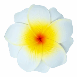 Medium Double Plumeria Clip: White
