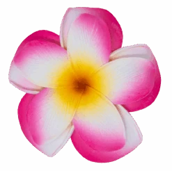 Large Double Plumeria Clip: Pink