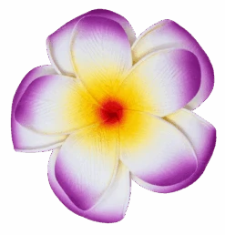 Large Double Plumeria Clip: Purple