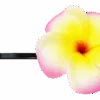 Plumeria Flower Bobby Pins: Pink