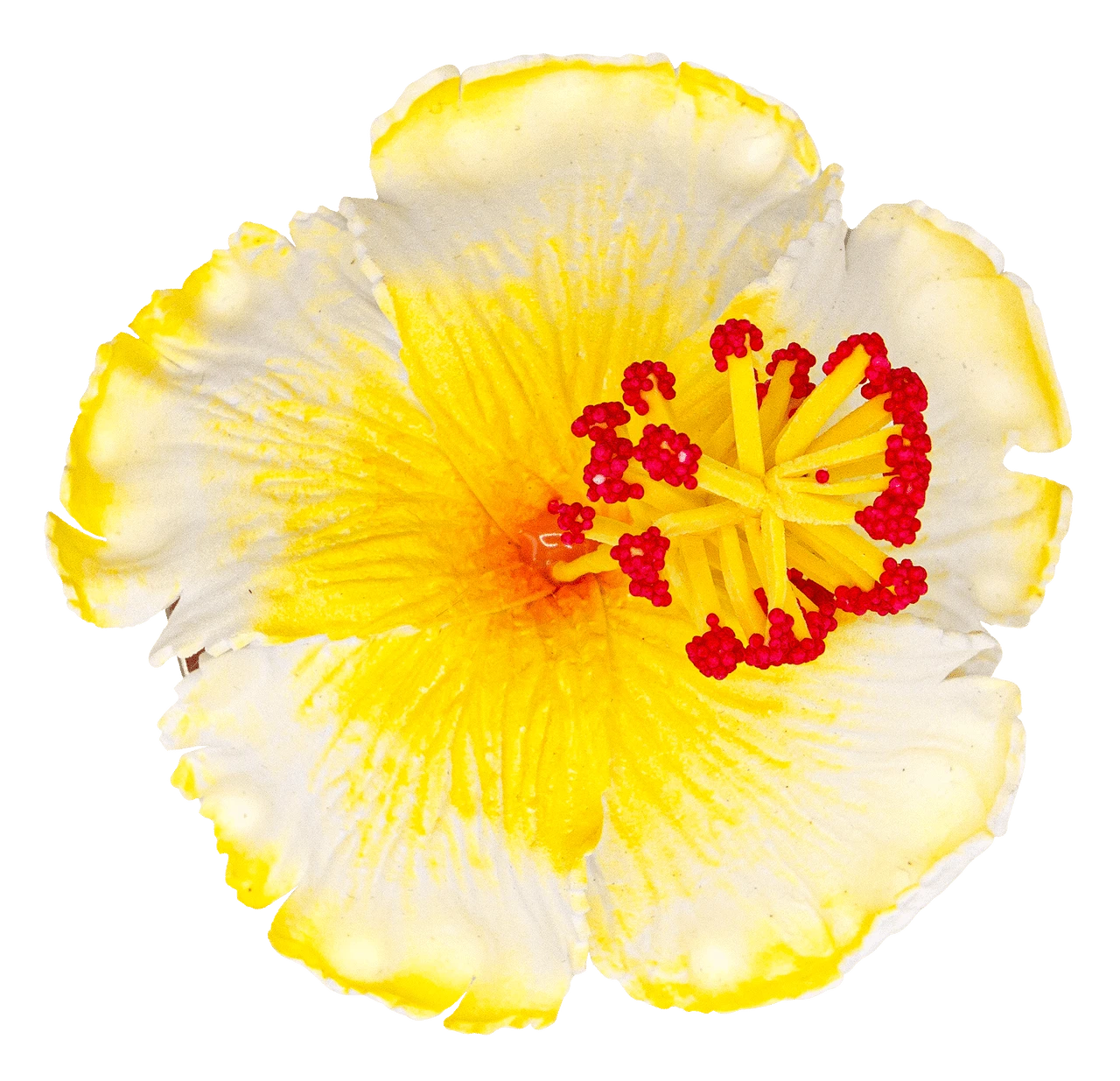 Hibiscus Hair Clip: White 1 Hibiscus Hair Clip: White