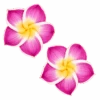 Medium Plumeria Stud Earrings: Purple