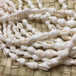 Shell Lei Gift Set 8 Shell Lei Gift Set -Fashion Clothing Store il fullxfull.774749577 l2s8 07390.1592423675.1280.1280 88011.1691605833