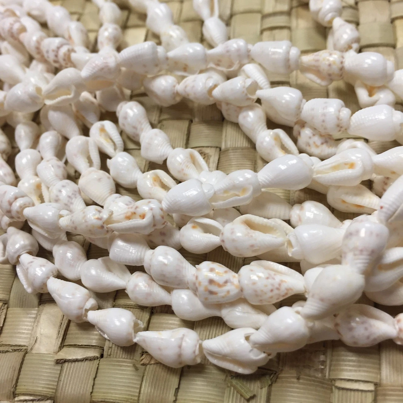 Shell Lei Gift Set 4 Shell Lei Gift Set - Image 4